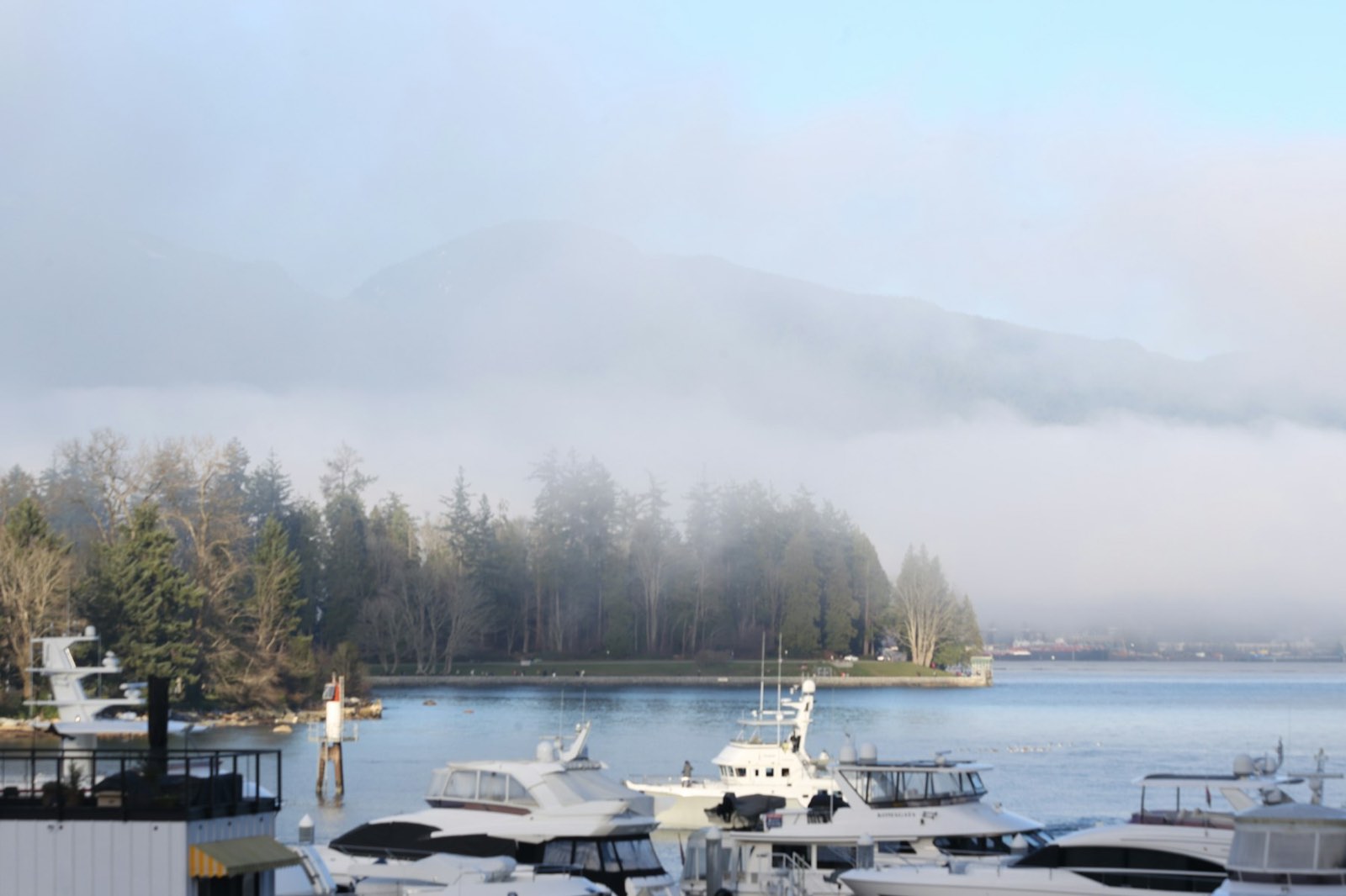 A quiet marina under fog with forested mountains behind (stock photo)