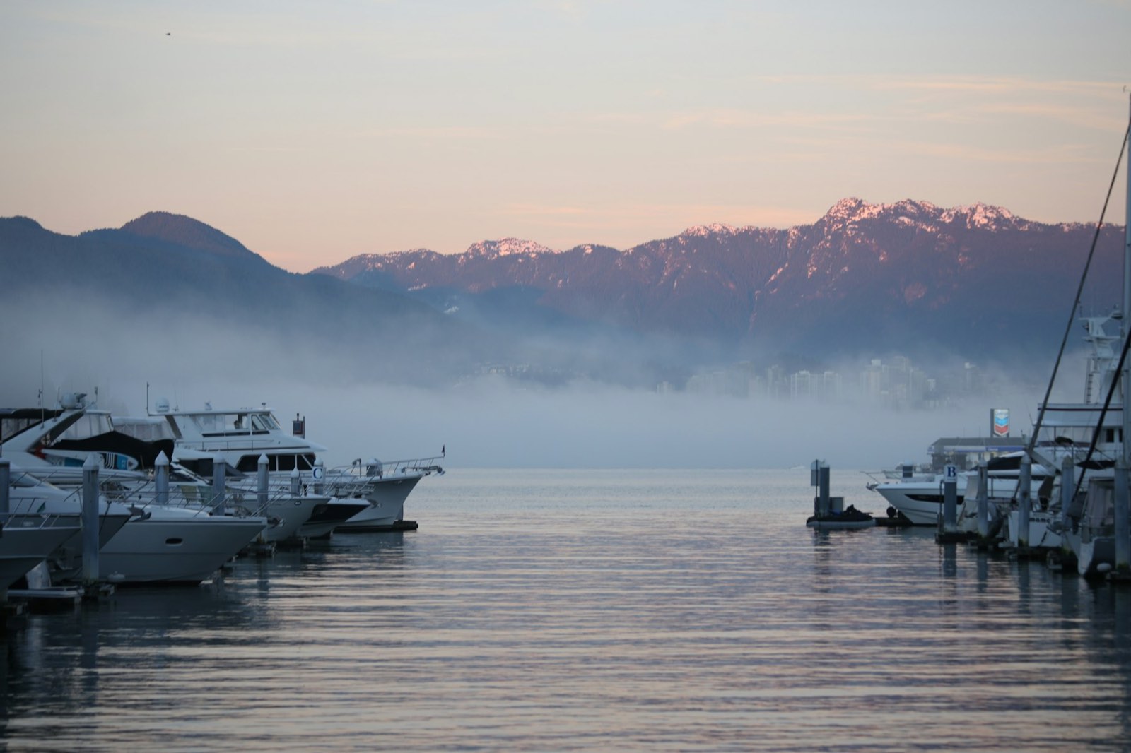 Fog lying over a harbour at dawn beneath coastal mountains (stock photo)